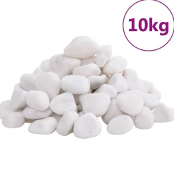 VidaXL - Galets polis 10 kg blanc 2-5 cm New