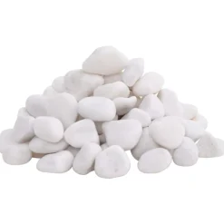 VidaXL - Galets polis 10 kg blanc 2-5 cm New