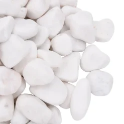 VidaXL - Galets polis 10 kg blanc 2-5 cm New