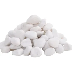 VidaXL Plantes Et Décoration | - Galets polis 10 kg blanc 2-5 cm