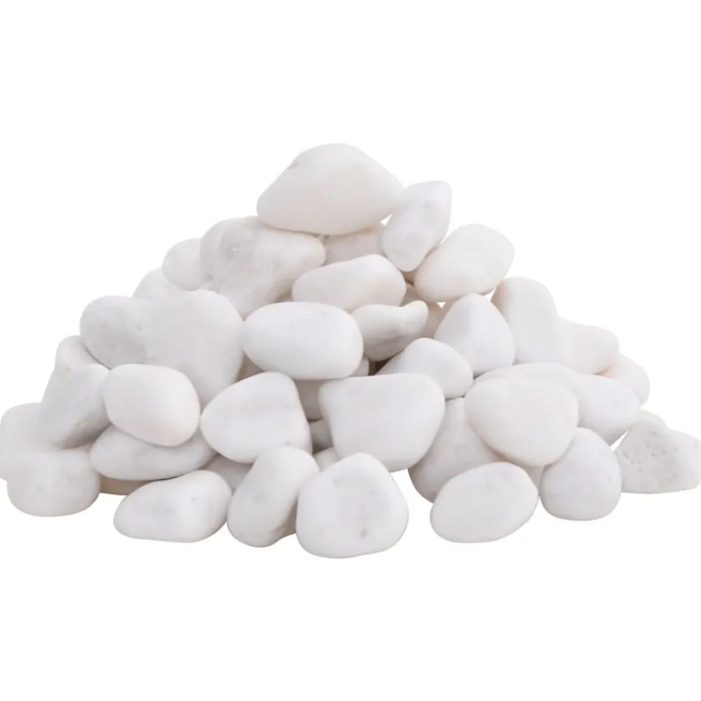 VidaXL Plantes Et Décoration | - Galets polis 10 kg blanc 2-5 cm