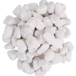 VidaXL Plantes Et Décoration | - Galets polis 10 kg blanc 2-5 cm