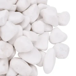 VidaXL Plantes Et Décoration | - Galets polis 10 kg blanc 2-5 cm