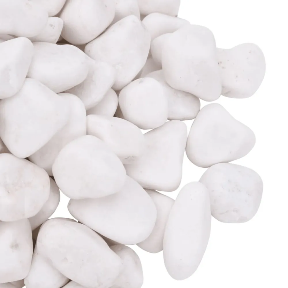 VidaXL Plantes Et Décoration | - Galets polis 10 kg blanc 2-5 cm