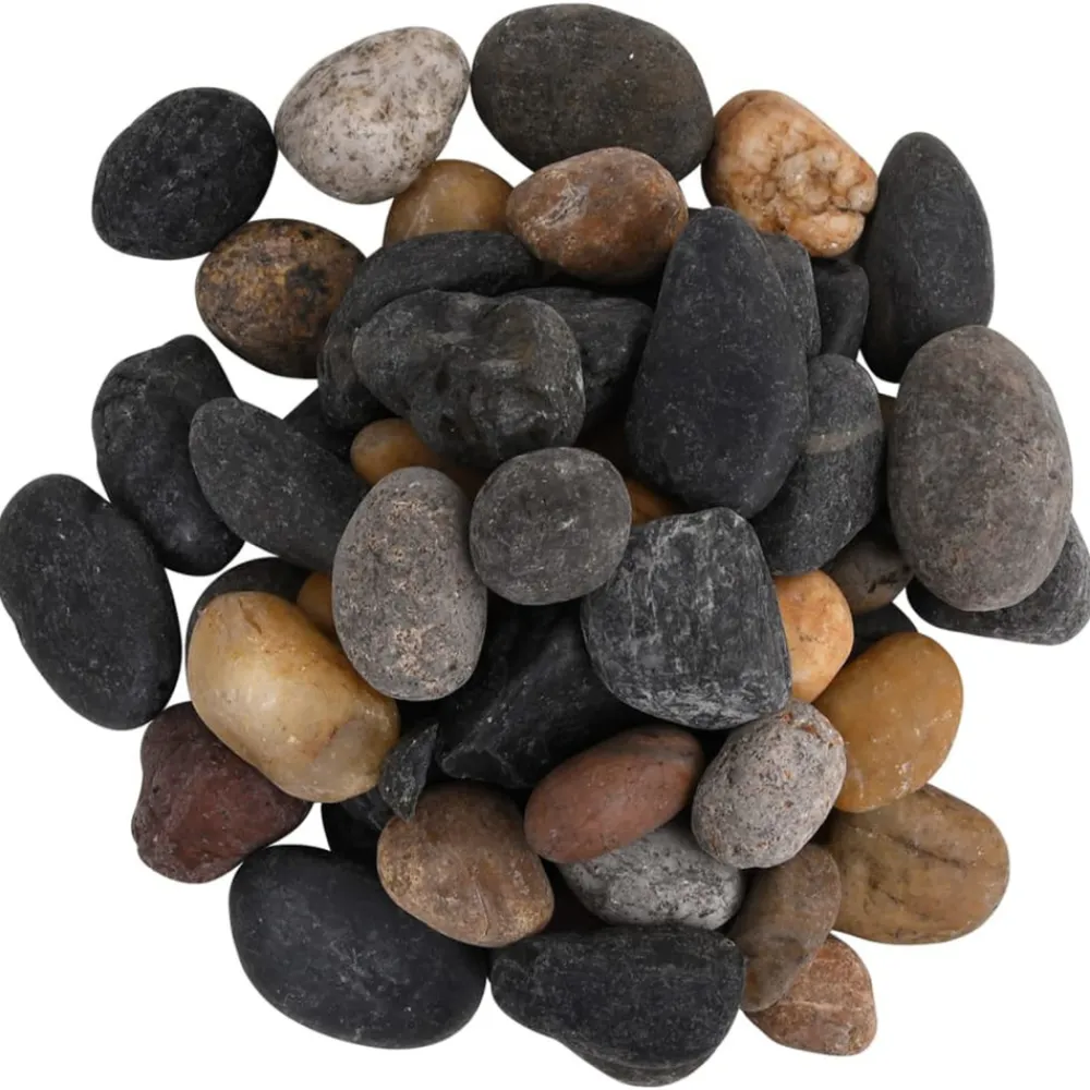 VidaXL - Galets polis 25 kg multicolores 5-8 cm New