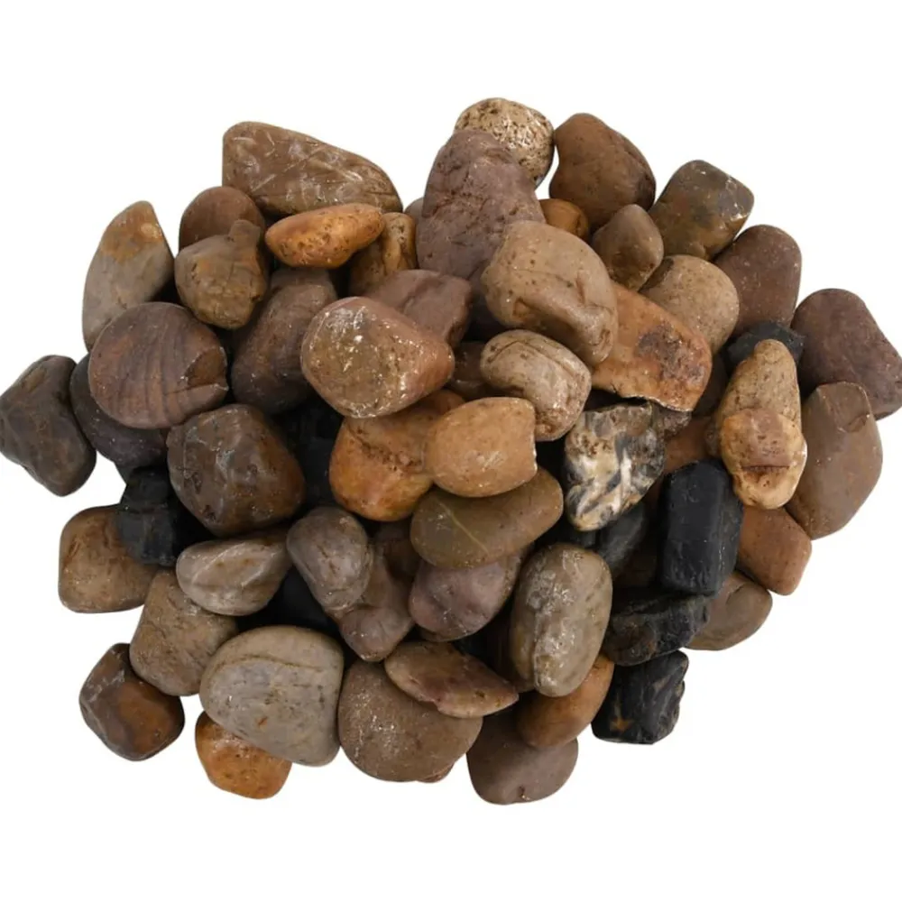 Vidaxl - Galets polis 10 kg multicolores 2-5 cm Clearance