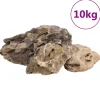 VidaXL Plantes Et Décoration | - Pierres du dragon 10 kg gris 10-40 cm