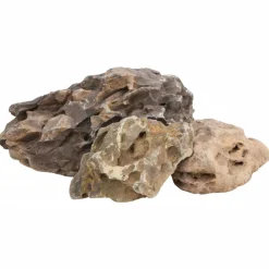 VidaXL Plantes Et Décoration | - Pierres du dragon 10 kg gris 10-40 cm