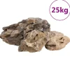 Vidaxl Plantes Et Décoration | - Pierres du dragon 25 kg marron 10-40 cm