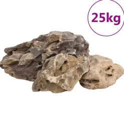 Vidaxl Plantes Et Décoration | - Pierres du dragon 25 kg marron 10-40 cm