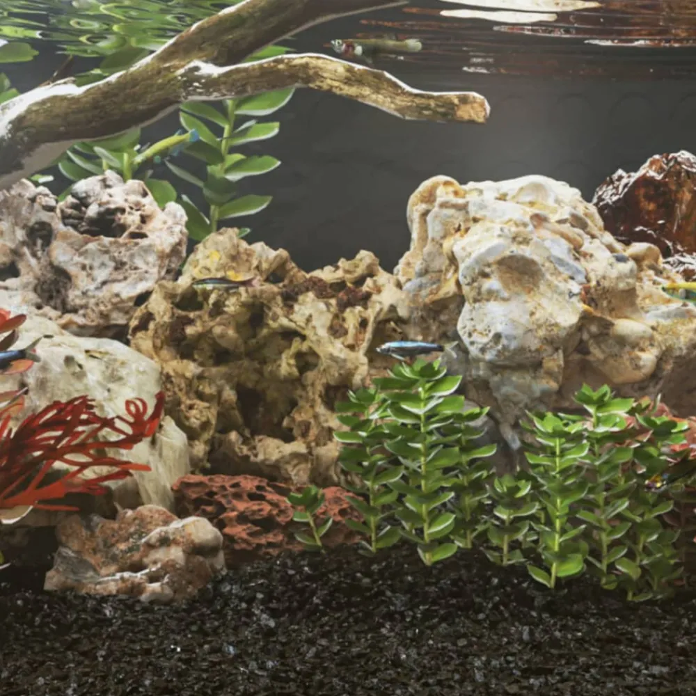 Vidaxl Plantes Et Décoration | - Pierres du dragon 25 kg mélange de couleurs 10-30 cm