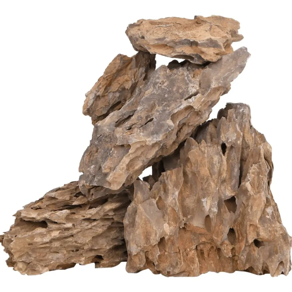 VidaXL Plantes Et Décoration | - Pierres du dragon 10 kg mélange de couleurs 10-30 cm