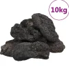 VidaXL Plantes Et Décoration | - Roches volcaniques 10 kg noir 10-30 cm