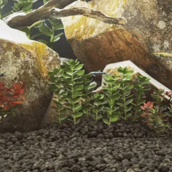 Vidaxl Plantes Et Décoration | - Roches volcaniques 10 kg noir 3-5 cm