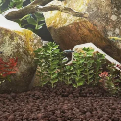 VidaXL Plantes Et Décoration | - Roches volcaniques 10 kg noir 1-2 cm