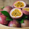 Willemse France - Fruit de la passion frederick - le pot / ø 9cm / hauteur livrée 20-40cm, vendu par lot de 2 Hot