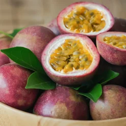 Willemse France - Fruit de la passion frederick - le pot / ø 9cm / hauteur livrée 20-40cm, vendu par lot de 2 Hot