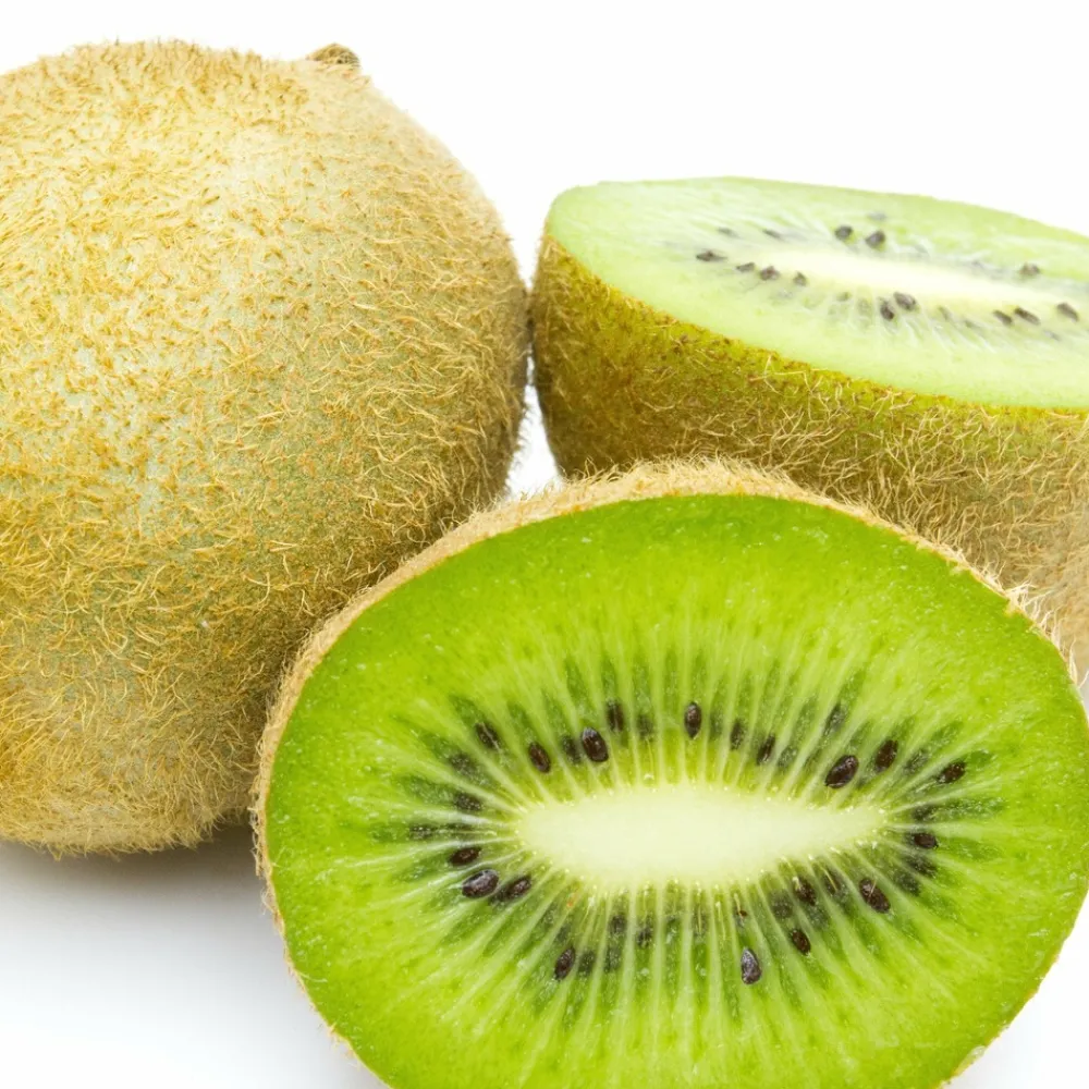 Willemse France - Kiwi jenny - le pot / ø 13cm / hauteur livrée 20-30cm. Hot