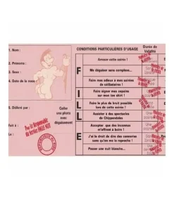 Youdoit - Permis - j'enterre ma vie de jeune fille Clearance