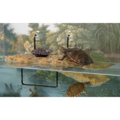 Zoomed Terrariums, Vivariums Et Accessoires | - Ilôt flottant pour tortue
